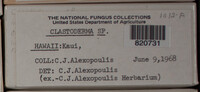 Image Associated With the Occurence